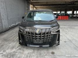 Toyota-Black-Alphard-11